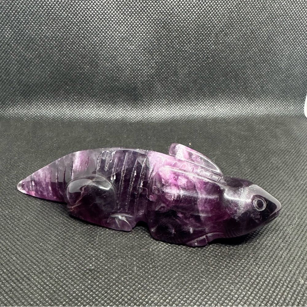 Fluorite Axolotl - Picture 2 of 7